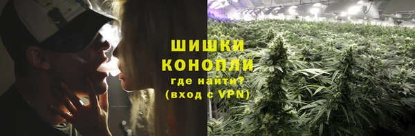 гидропоника Нязепетровск
