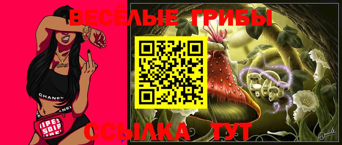 Псилоцибиновые грибы мицелий  Калач-на-Дону 