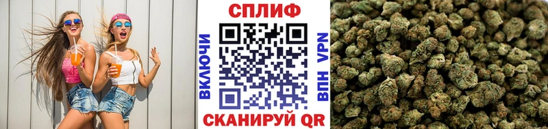 Конопля сатива  Калач-на-Дону 